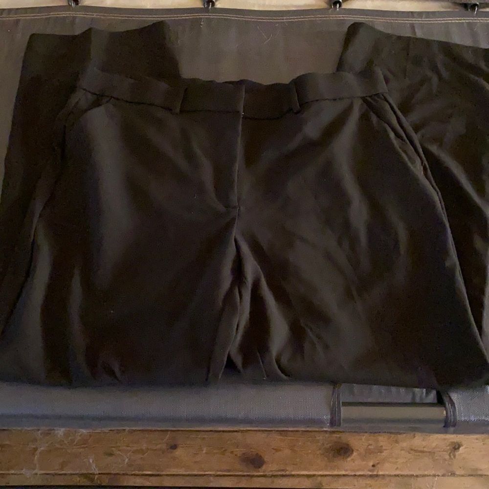 Sag Harbor petite stretch pants sz. 14 petite